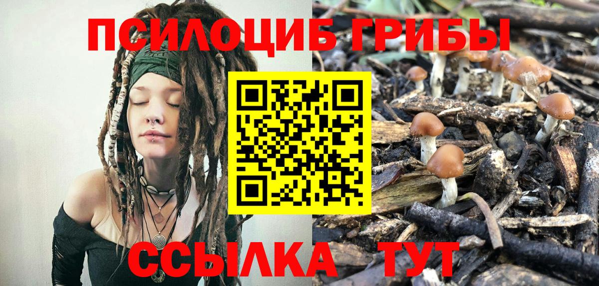 Минеральные Воды  Псилоцибиновые грибы GOLDEN TEACHER  Галлюциногенные грибы мицелий  Вход с VPN 